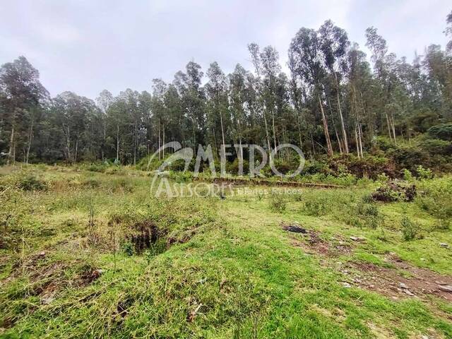 #1181 - Terreno para Venta en Quito - P - 1