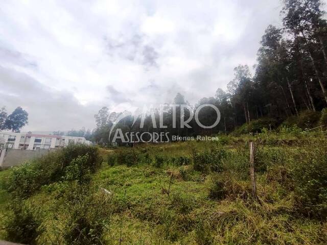 #1181 - Terreno para Venta en Quito - P - 3